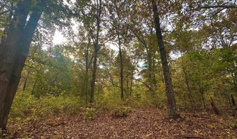 Goodwin Cove lot 29, Ash Flat, AR 72513
