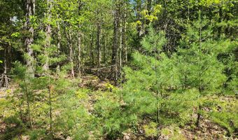Map R1 21a Alna Road, Alna, ME 04535