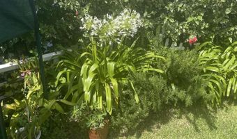 233 Rio Vista Cir, Atlantis, FL 33462