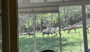 267 Back 9 Dr, Baneberry, TN 37890