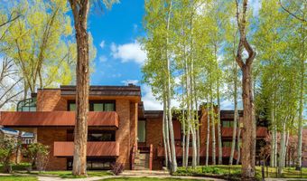400 W Hopkins Ave 5, Aspen, CO 81611