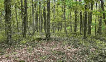 Lot 30 Oak Drive, Albright, WV 26519