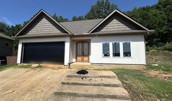 1015 Clinton Ct, Alexander, AR 72002