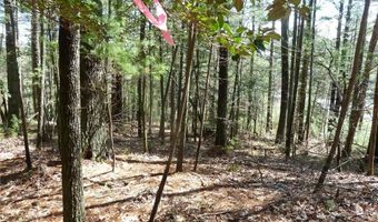 7 Old Cottage Ln 7, Brevard, NC 28712