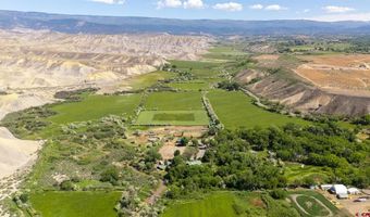 10341 Tongue Creek Rd, Austin, CO 81410