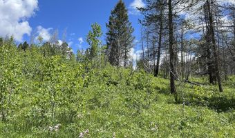 Tbd Nwne DEER HAVEN Road, Bondurant, WY 82922