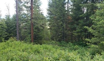 Lot 20 Arlee Pines, Arlee, MT 59821