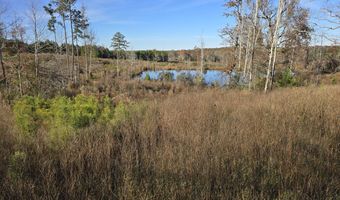 1228 River Rd, Ariton, AL 36311