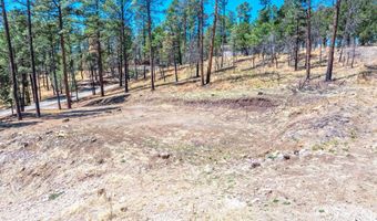 215 Brentwood Dr 2, Alto, NM 88312