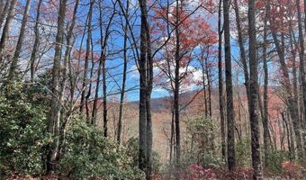 Ridge Trail Drive lot 24, Balsam Grove, NC 28708