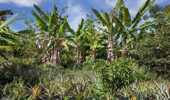 81-1045 KEOPUKA MAUKA Rd, Captain Cook, HI 96750