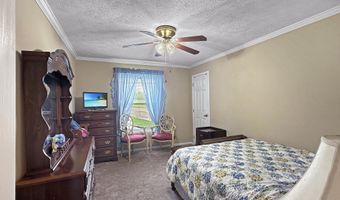 899 Harrisville Braxton Rd Rd, Braxton, MS 39044