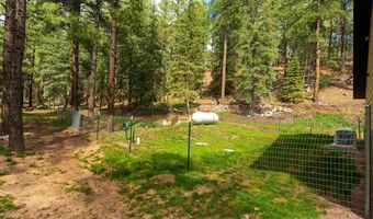 12316 County Road 501, Bayfield, CO 81122