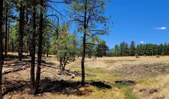Tbd STONE CREEK RD CR 2117, Alpine, AZ 85920