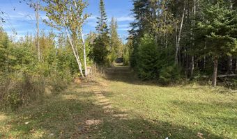 9415 Wreck Rd, Alpena, MI 49707