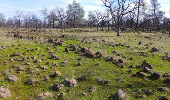 Lot 20 Ash Creek Road, Anderson, CA 96007