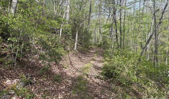 999999 Harwood Rd 2, Barnardsville, NC 28709