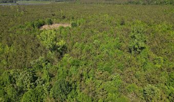 Colice Hall Lane, Ahoskie, NC 27910