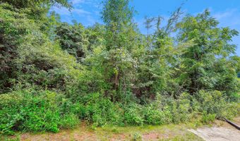 LOT 1 BROWN LANE, Amissville, VA 20106