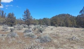 Lot 35 Blk 24 MRE Tiger Lane, Alturas, CA 96101