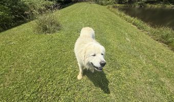 81 Happy Acres Rd, Beattyville, KY 41311