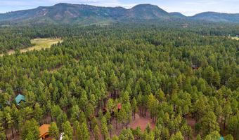 4 County Road 2089, Alpine, AZ 85920