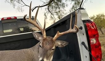 6525 US Highway 180 E, Anson, TX 79501