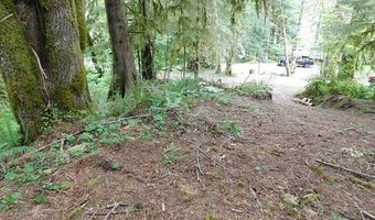 10286 RIDGE VIEW Ter, Birkenfeld, OR 97016