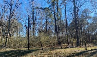 TBD Bogue Chitto Road SW, Bogue Chitto, MS 39629