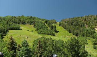 714 S Galena St B, Aspen, CO 81611