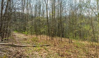 47691 E Captina Highway Rd, Alledonia, OH 43902