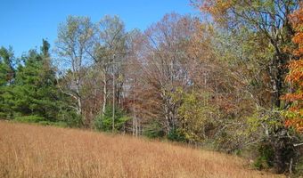 4242 Muddy Creek Mountain Rd, Alderson, WV 24910