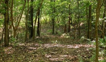 Private Drive Off Of Fr 1245, Aurora, MO 65605