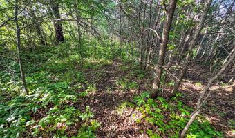 1471 576th Ave, Albia, IA 50150