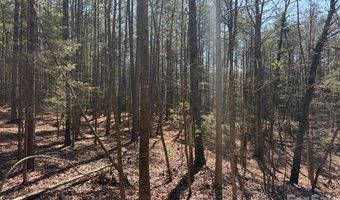 12 68 Acre 99 Rd, Blair, SC 29015