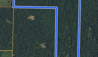 County Road 304, Alton, MO 65606
