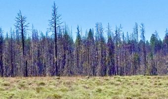 White Birch Lane lot 4, Bly, OR 97622