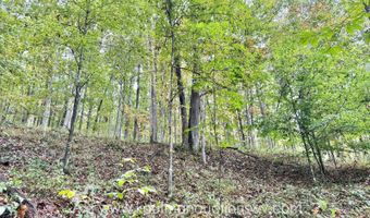 Jesse Run Rd, Arnoldsburg, WV 25234