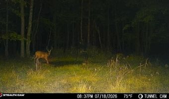 694 A Tunnel Ridge Rd, Argillite, KY 41121