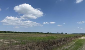 Sr 1918 Road, Aurora, NC 27806