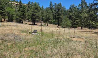 17775 County Road 51, Boncarbo, CO 81024