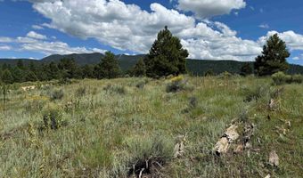 Lot 459 San Mateo, Angel Fire, NM 87710