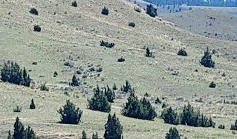 747 Upper Ruby Rd, Alder, MT 59755