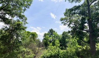 9260 92nd St SE, Alto, MI 49302