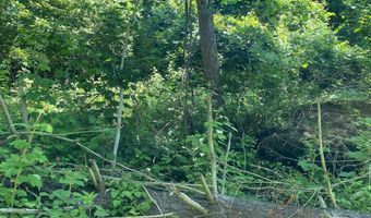 Peach Ridge Rd, Athens, OH 45701