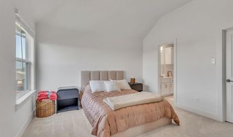 601 Wilderness Point Ln, Anna, TX 75409