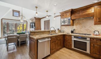 415 E Dean St. # 32 Wk 9, Aspen, CO 81611