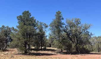 224 E2 Rocky Rd, Ash Fork, AZ 86320