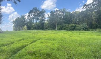 0 CR-215, Ariton, AL 36311
