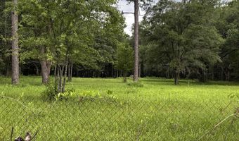 10901 Hall Dr, Axis, AL 36505